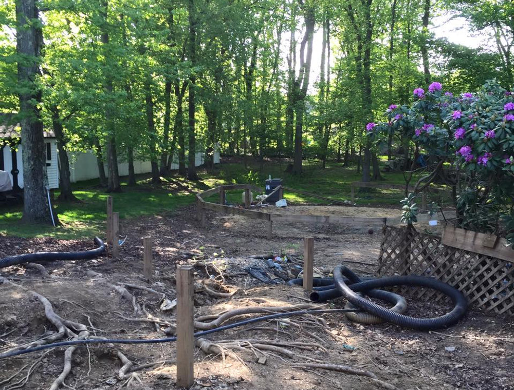 Yard cleared after deck removal