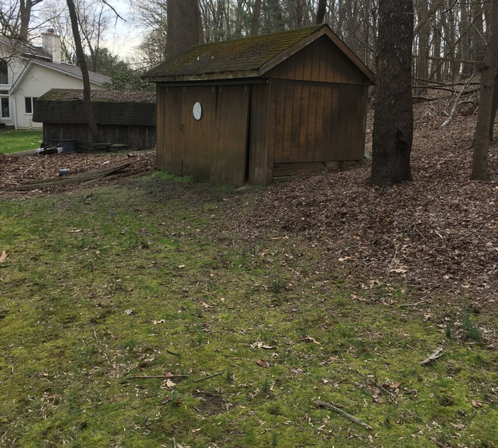Shed before removal